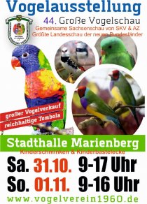 Bild zur Anzeige
