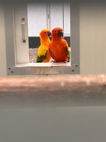 Bild zur Anzeige