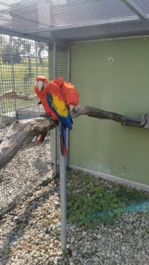 Bild zur Anzeige