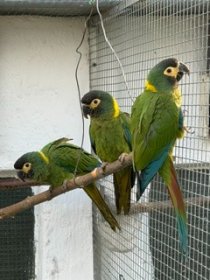 Bild zur Anzeige