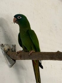 Bild zur Anzeige