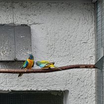 Bild zur Anzeige