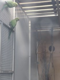 Bild zur Anzeige