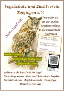 Bild zur Anzeige