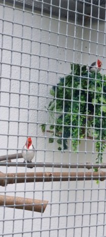 Bild zur Anzeige
