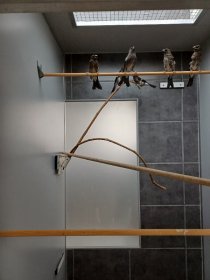Bild zur Anzeige